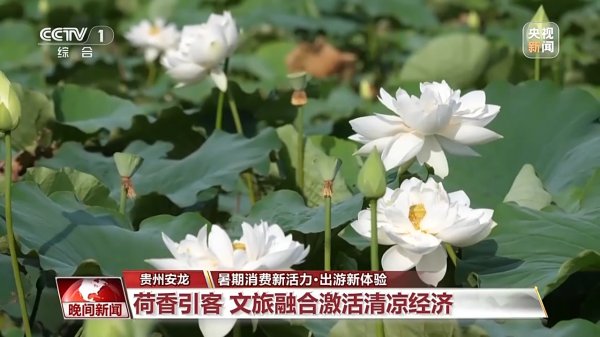 配资门户 够清凉够丰富！更好玩、更好逛的“暑期游”来了